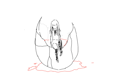 壳少